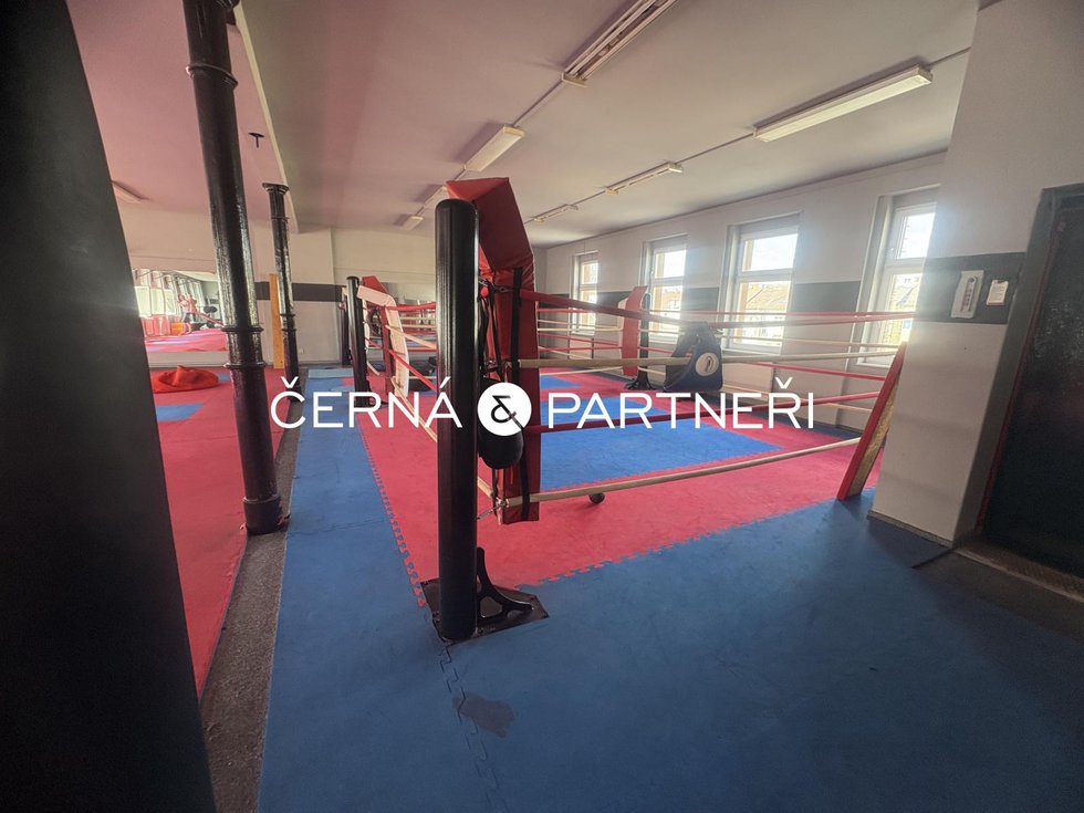 Pronájem Ostatních komerčních prostor 280 m², Teplice