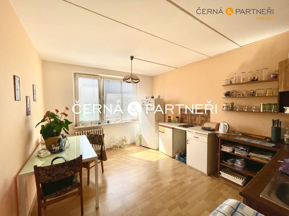Prodej bytu 1+1 36 m², Louny