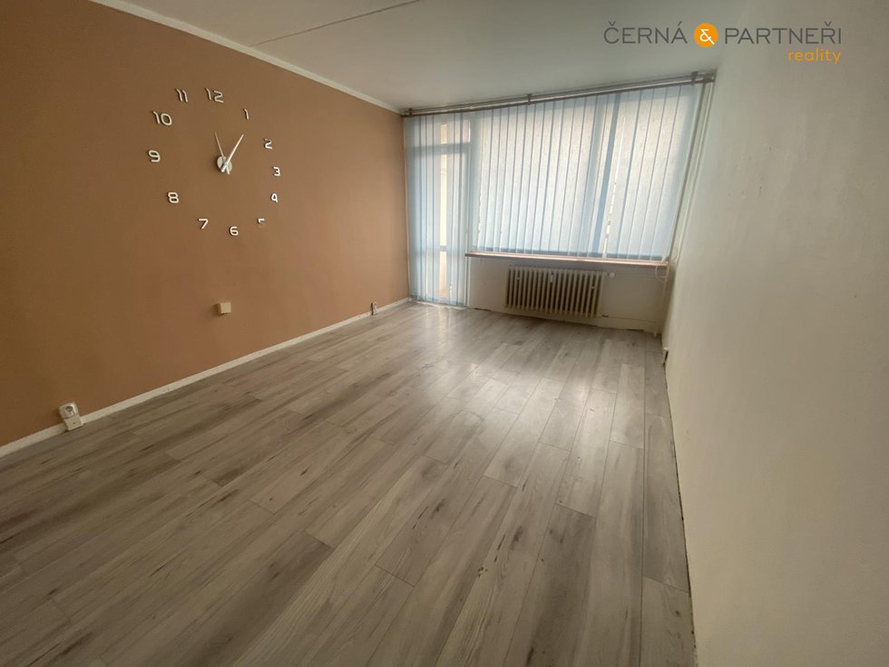 Pronájem bytu 2+1 48 m², Bílina