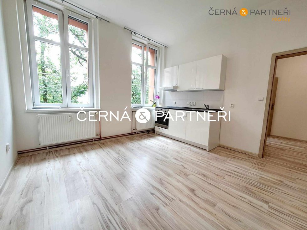 Pronájem bytu 1+kk, garsoniery 33 m², Ústí nad Labem