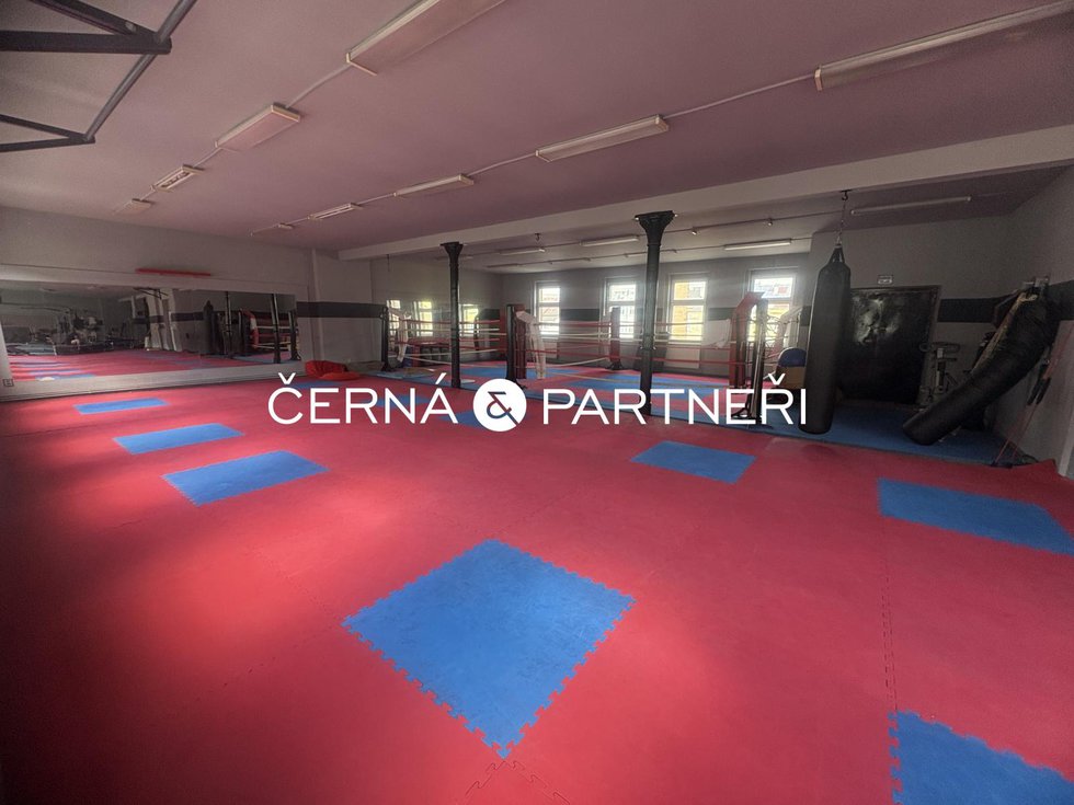 Pronájem Ostatních komerčních prostor 280 m², Teplice