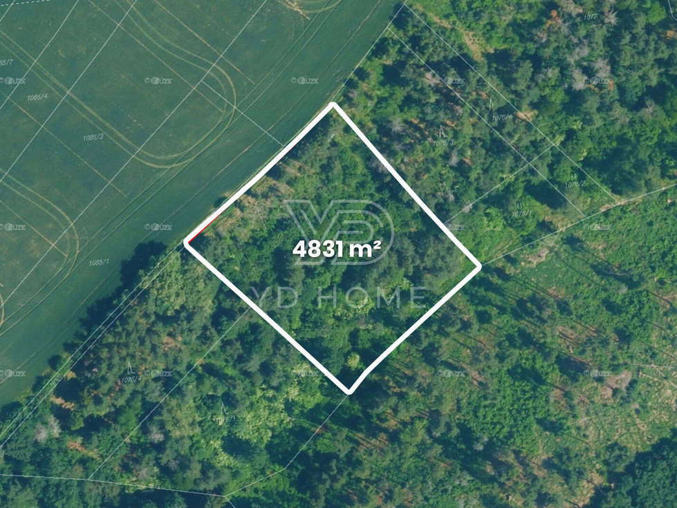 Prodej lesa 4831 m², Zbraslav