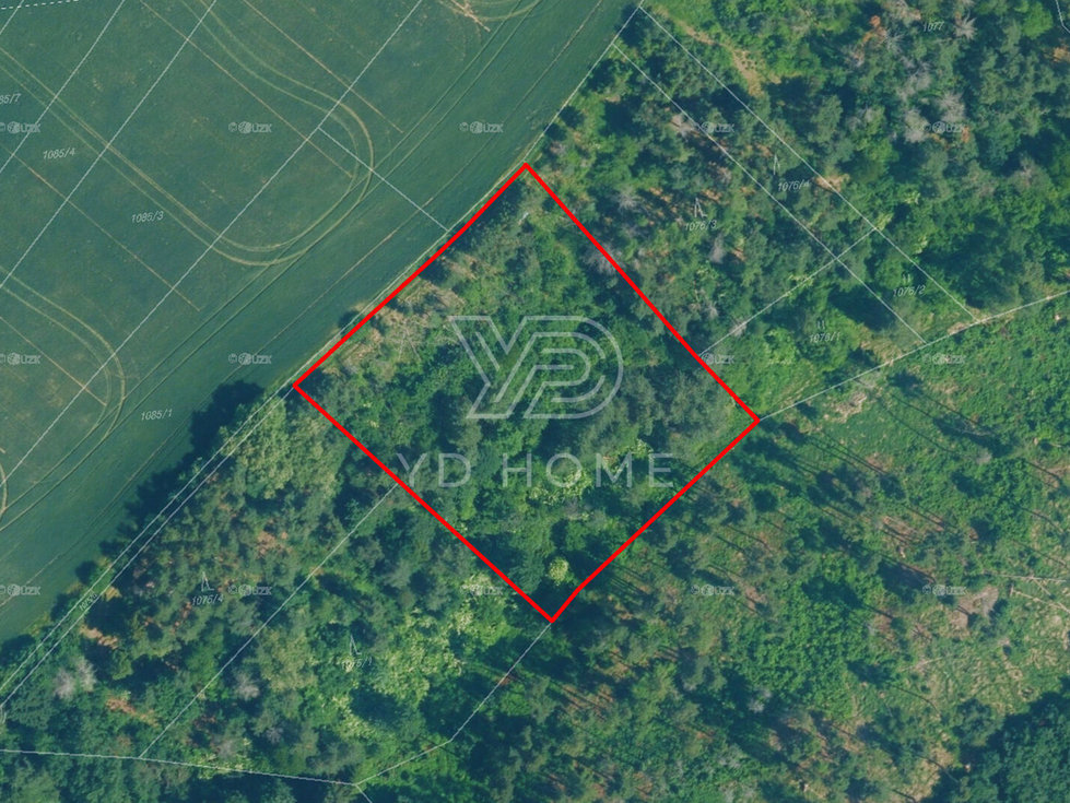 Prodej lesa 4831 m², Zbraslav