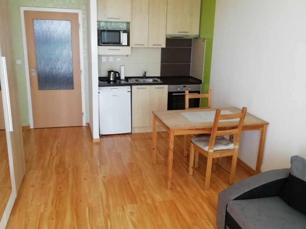 Pronájem bytu 1+kk, garsoniery 28 m², Ostrava