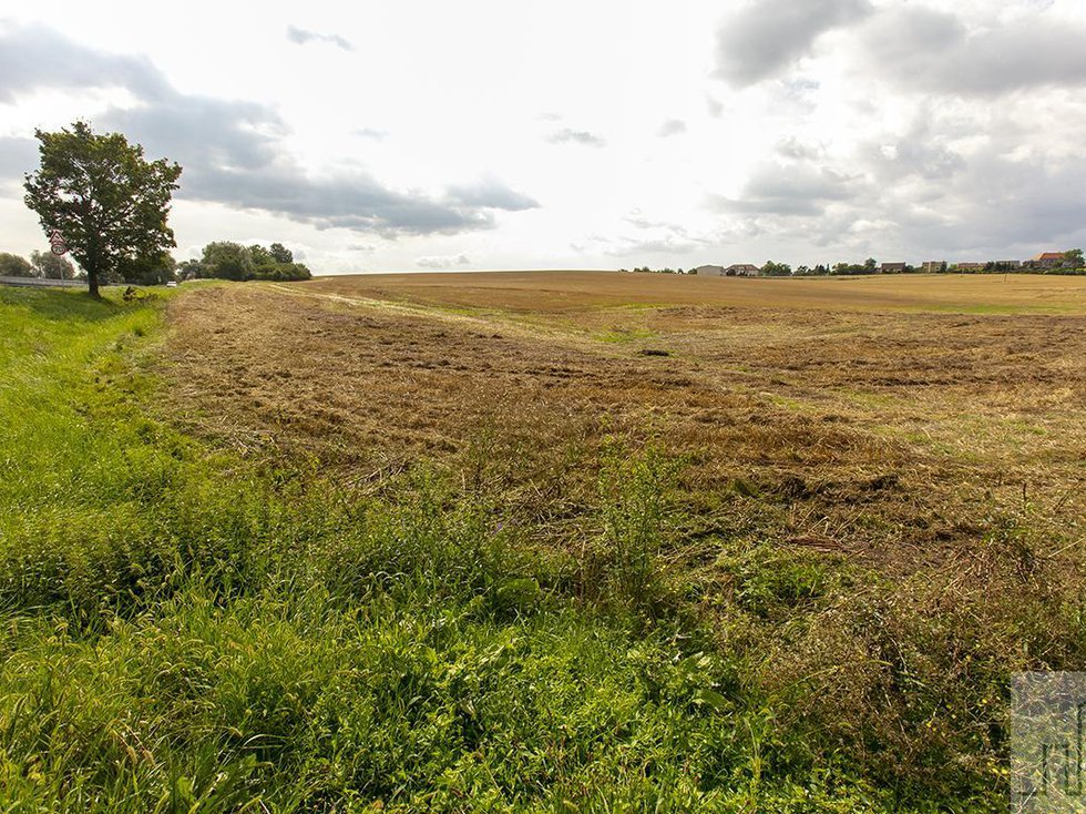 Prodej stavební parcely 2480 m², Čížkovice