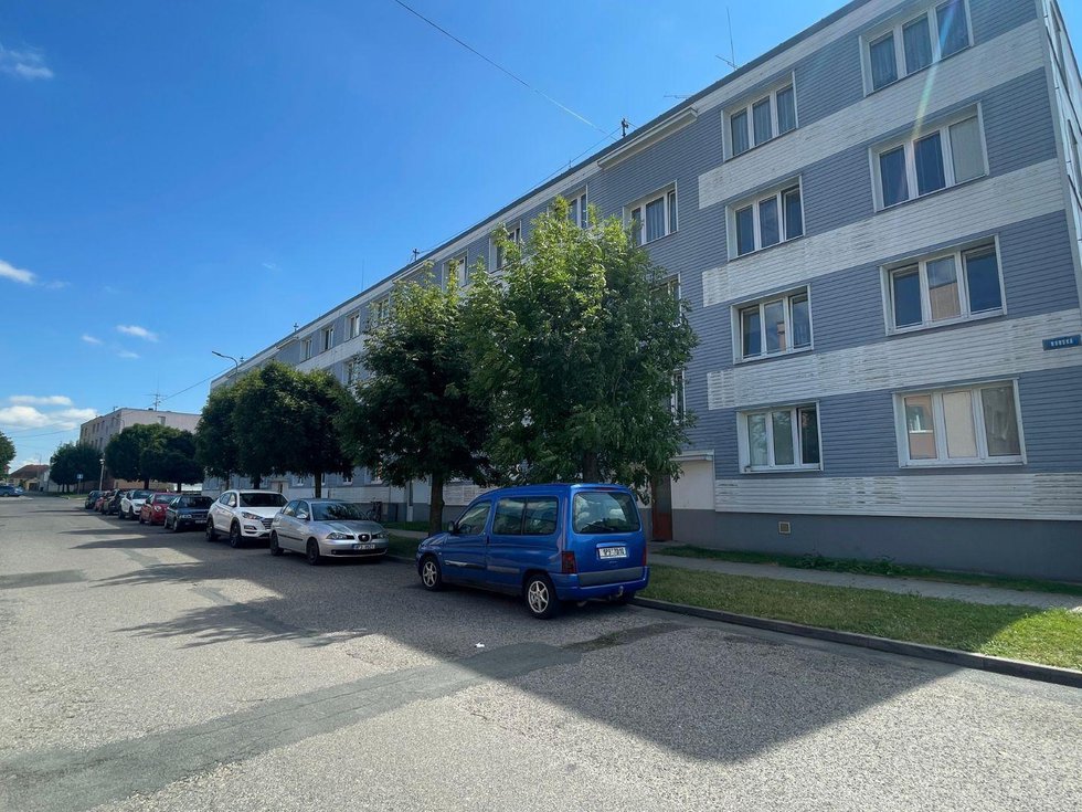 Prodej bytu 3+1 69 m², Bor