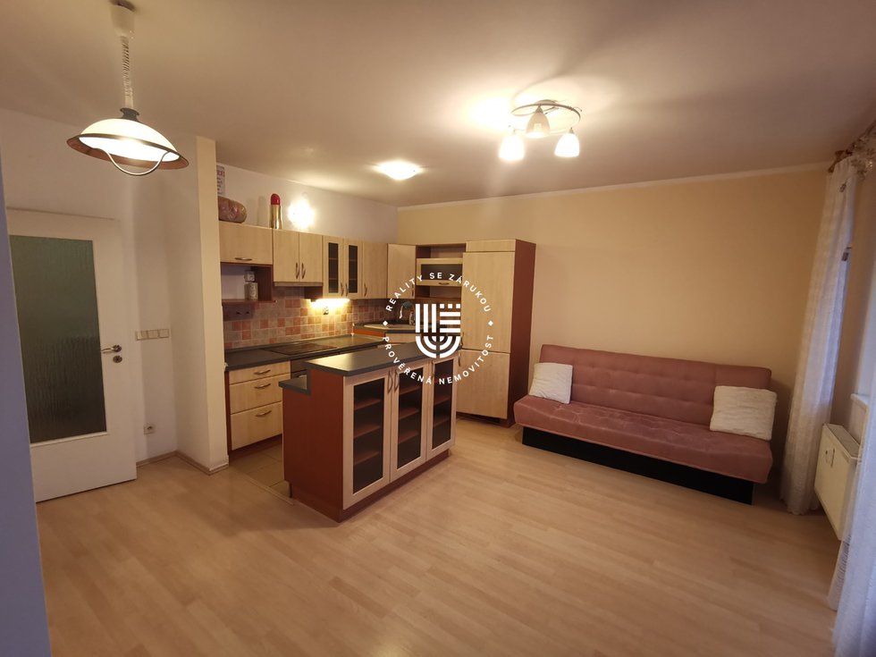 Pronájem bytu 1+1 46 m², Praha