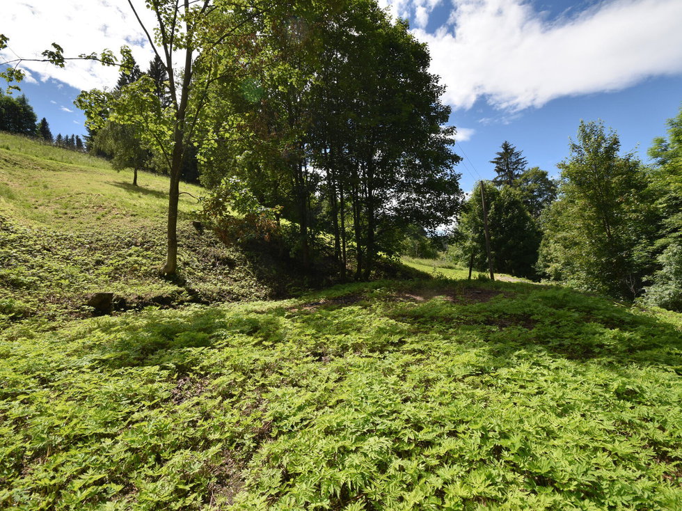 Prodej stavební parcely 2799 m², Zlaté Hory