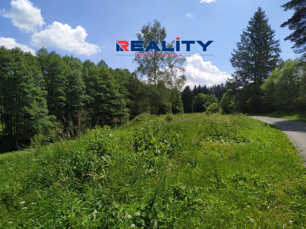 Prodej ostatních pozemků 1567 m², Borušov