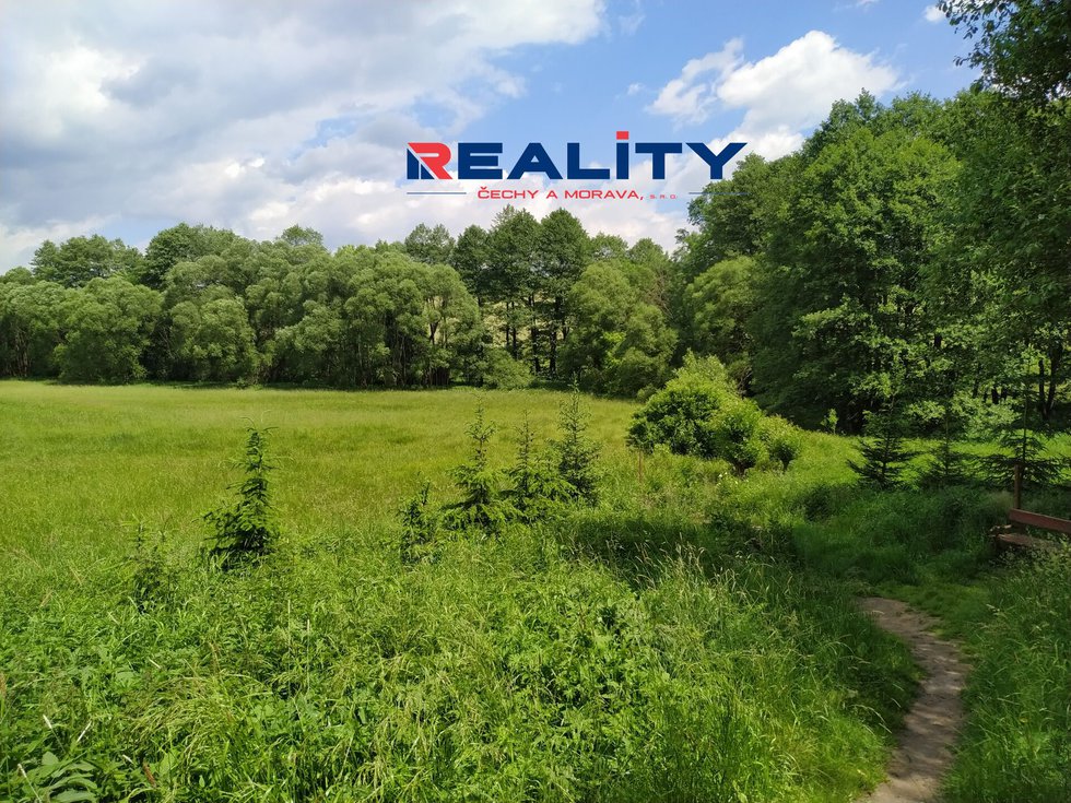 Prodej ostatních pozemků 7824 m², Borušov