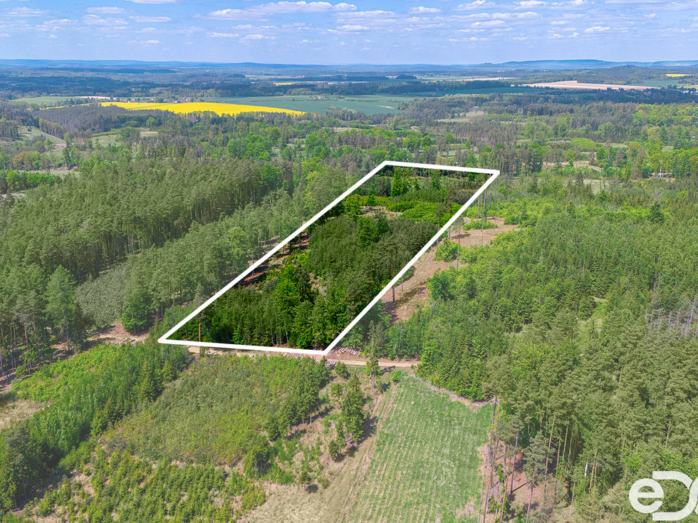 Prodej lesa 79500 m², Jetětice