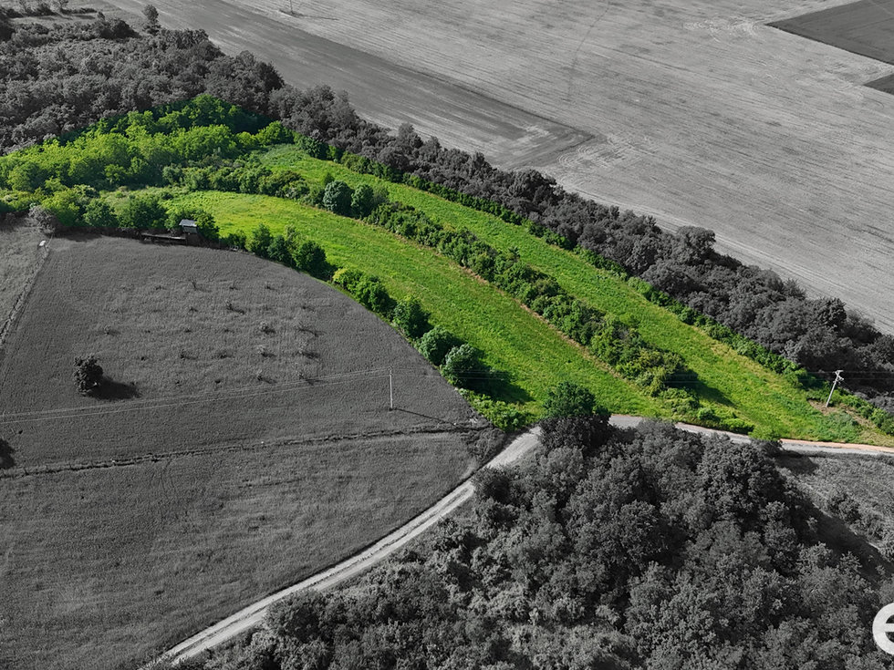Prodej podílu ostatních pozemků 14560 m², Bechlín