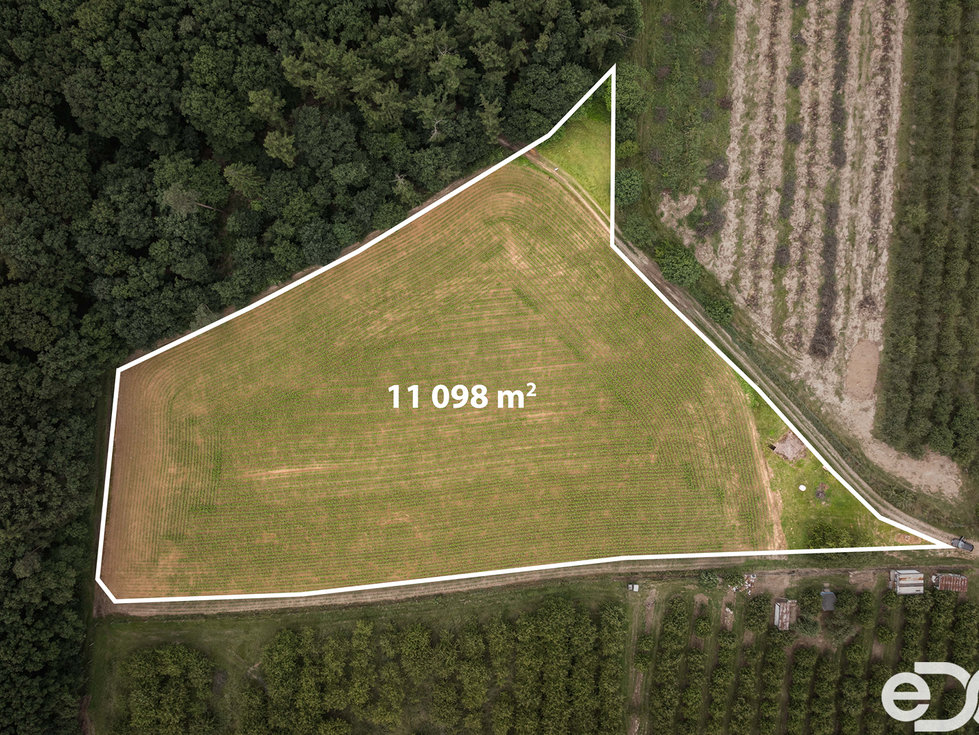 Prodej stavební parcely 11163 m², Těchlovice