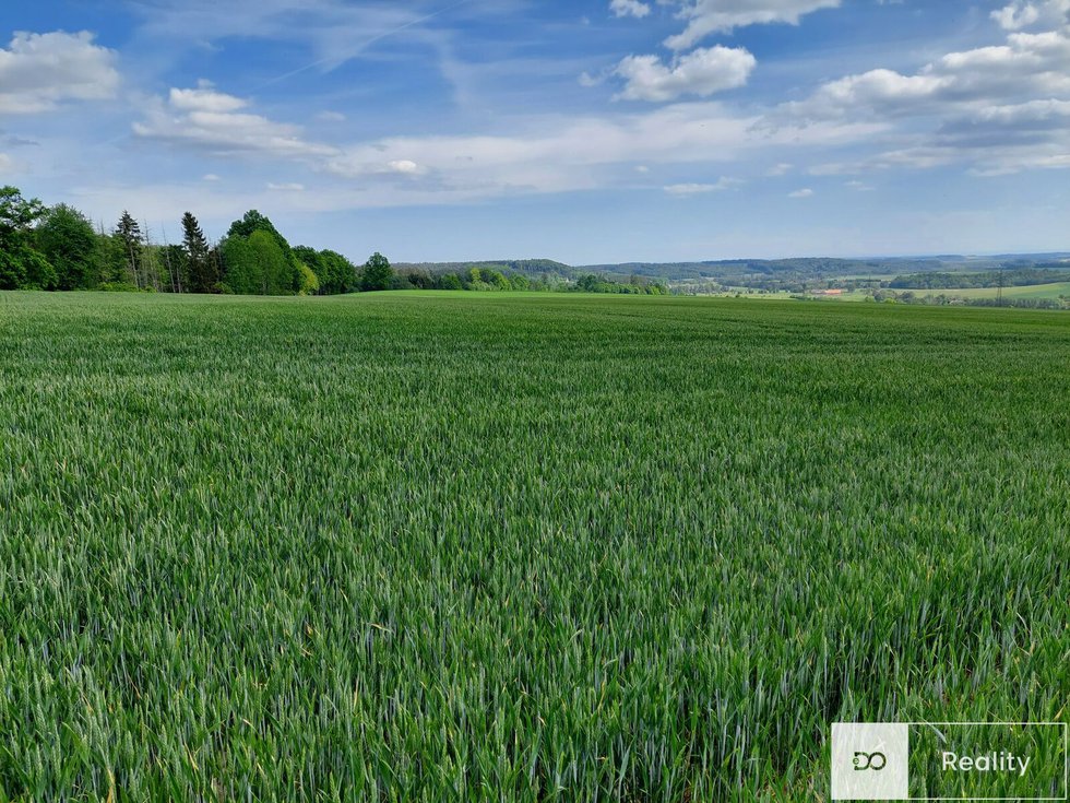 Prodej zemědělské půdy 19959 m², Bílé Poličany