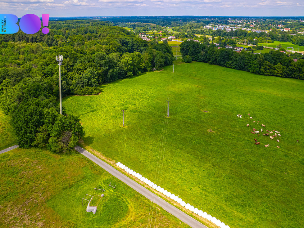 Prodej zemědělské půdy 6655 m², Chotěbuz