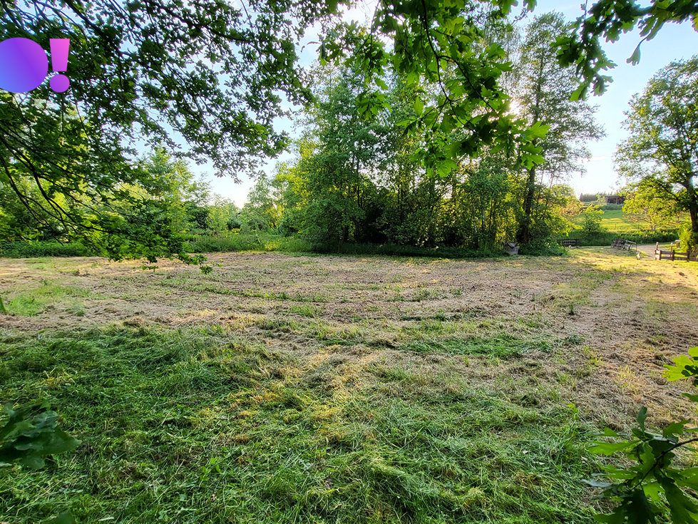 Prodej stavební parcely 1999 m², Ludgeřovice