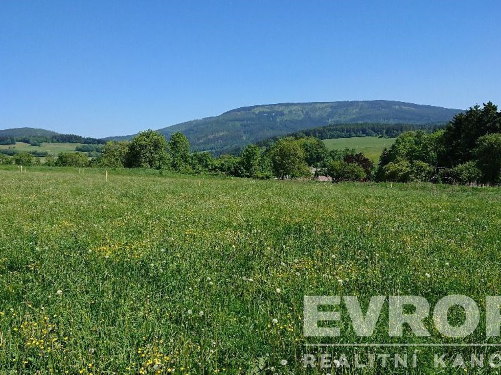 Prodej stavební parcely 1037 m², Černý Důl