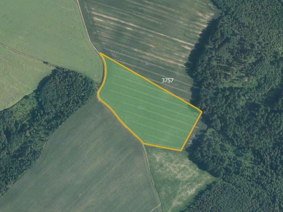 Prodej zemědělské půdy 35246 m², Jindřichov