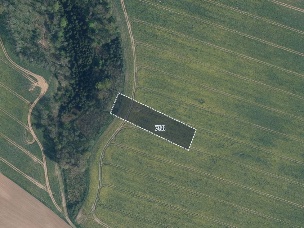 Prodej zemědělské půdy 5954 m², Mělnické Vtelno