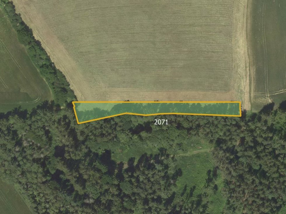 Prodej louky 2651 m², Banín
