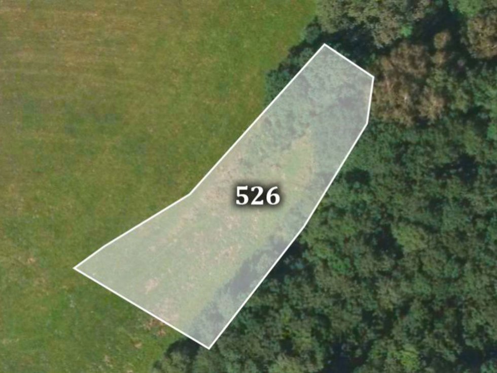 Prodej zemědělské půdy 15740 m², Kramolín