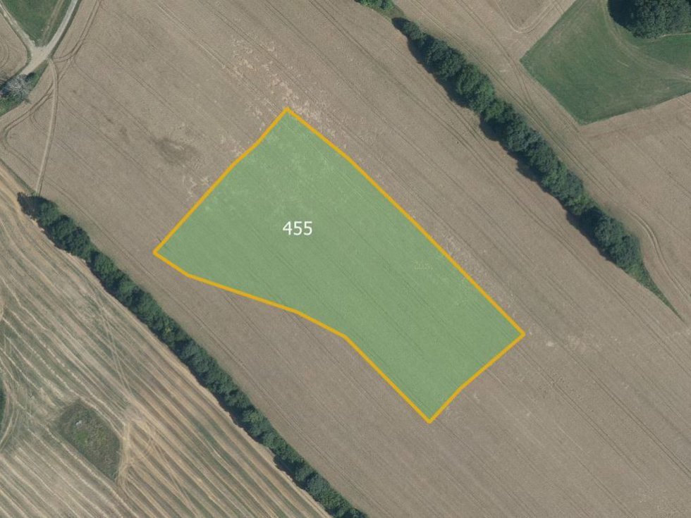 Prodej zemědělské půdy 12329 m², Zborov
