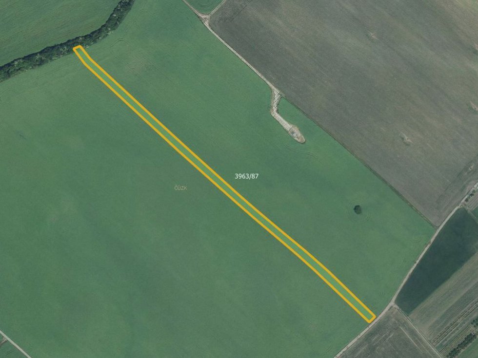 Prodej zemědělské půdy 10527 m², Moravská Nová Ves