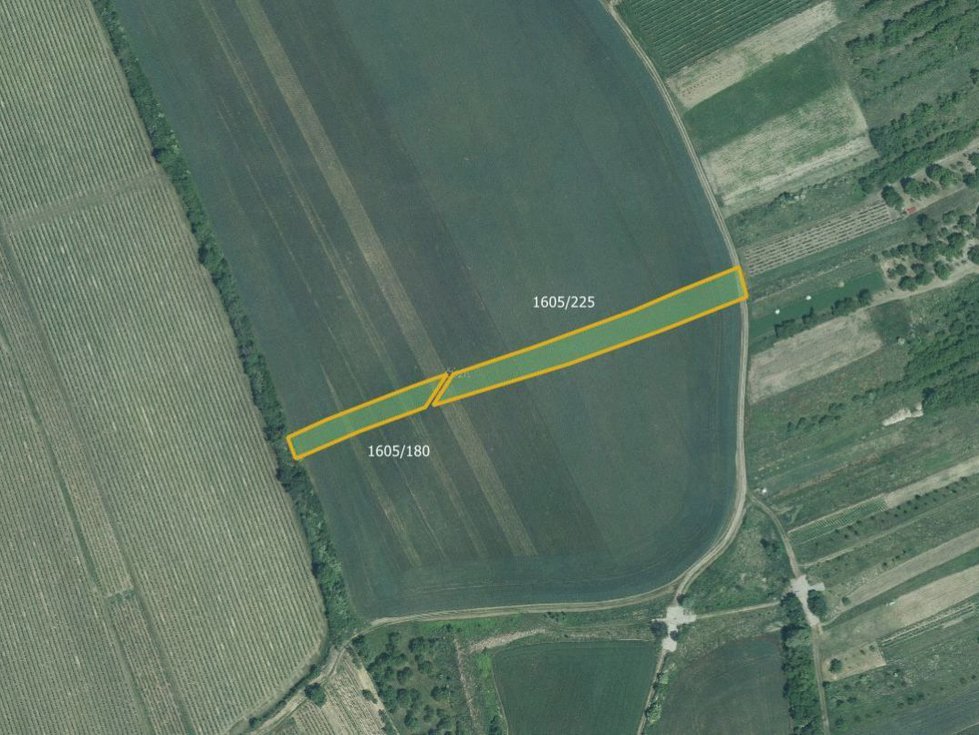 Prodej zemědělské půdy 9607 m², Nosislav