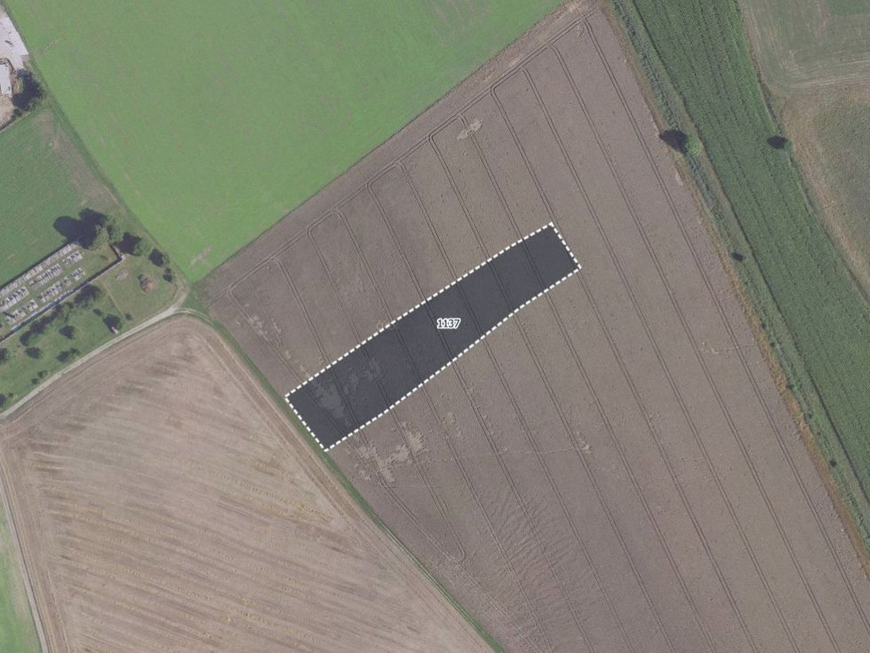 Prodej zemědělské půdy 5187 m², Jíkev
