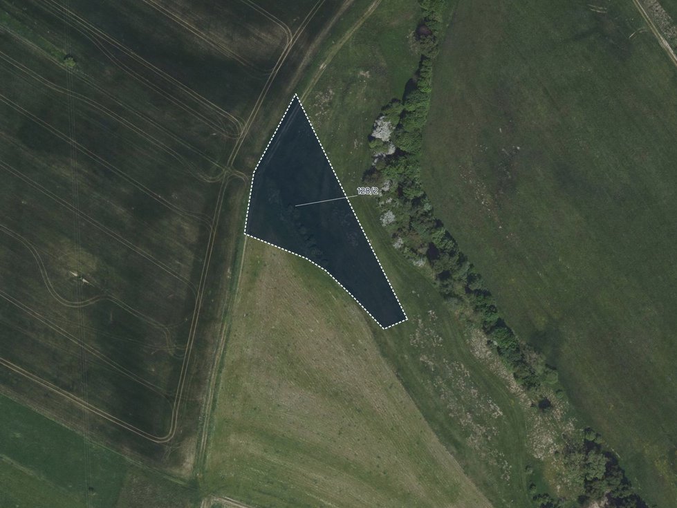 Prodej zemědělské půdy 4956 m², Zbraslavice