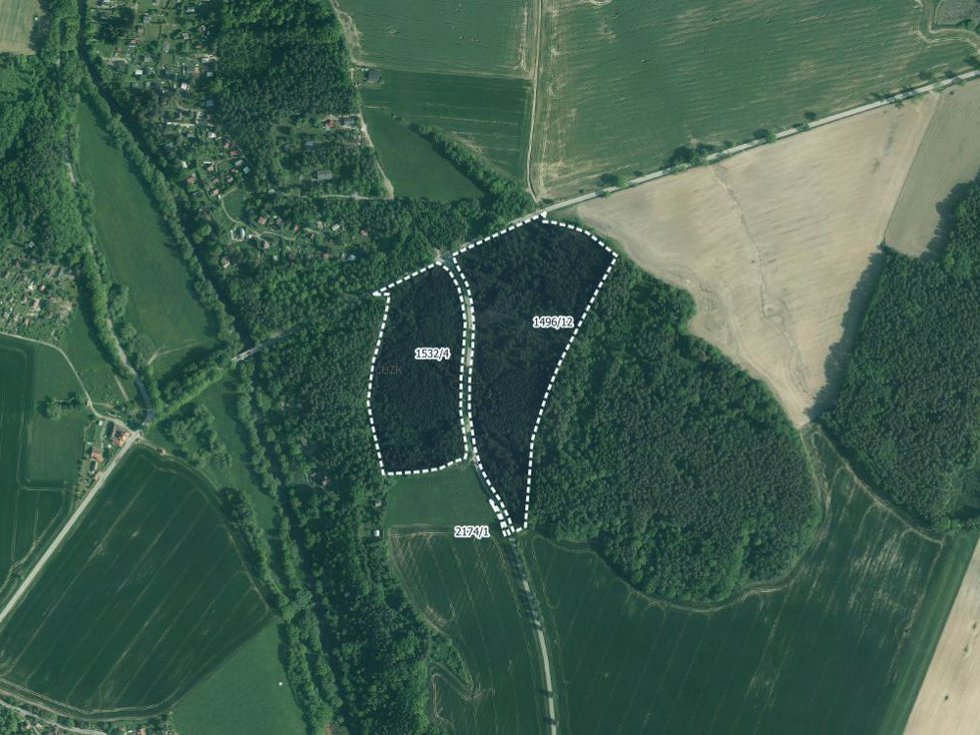 Prodej lesa 139018 m², Římov
