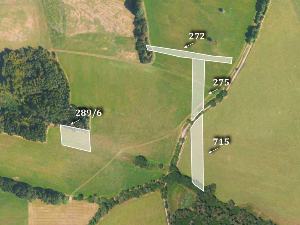 Prodej zemědělské půdy 12042 m², Plánice