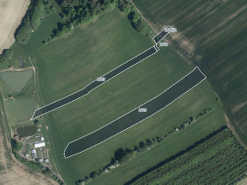 Prodej zemědělské půdy 29112 m², Vyklantice