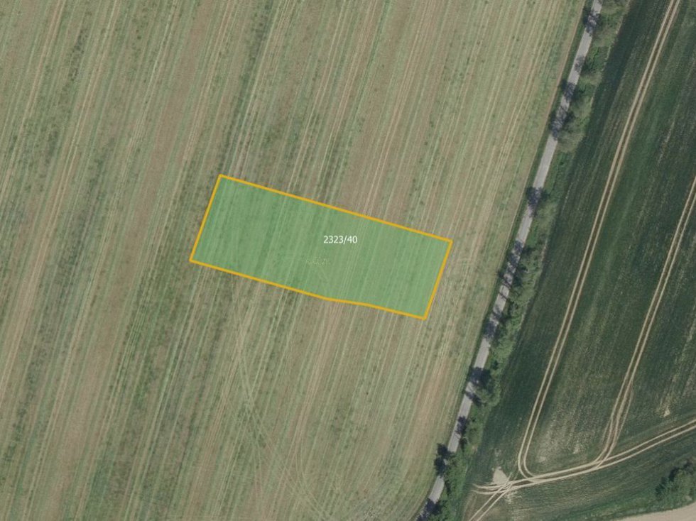 Prodej zemědělské půdy 3412 m², Holice