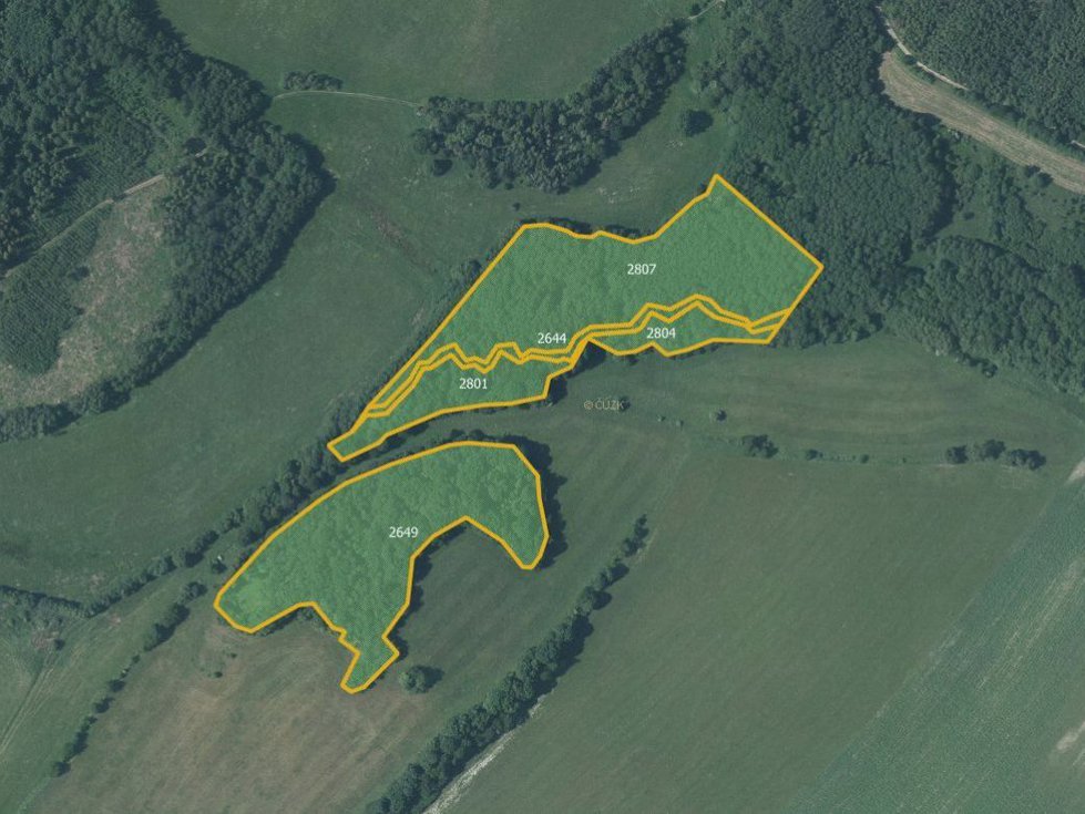 Prodej lesa 40440 m², Budišov nad Budišovkou