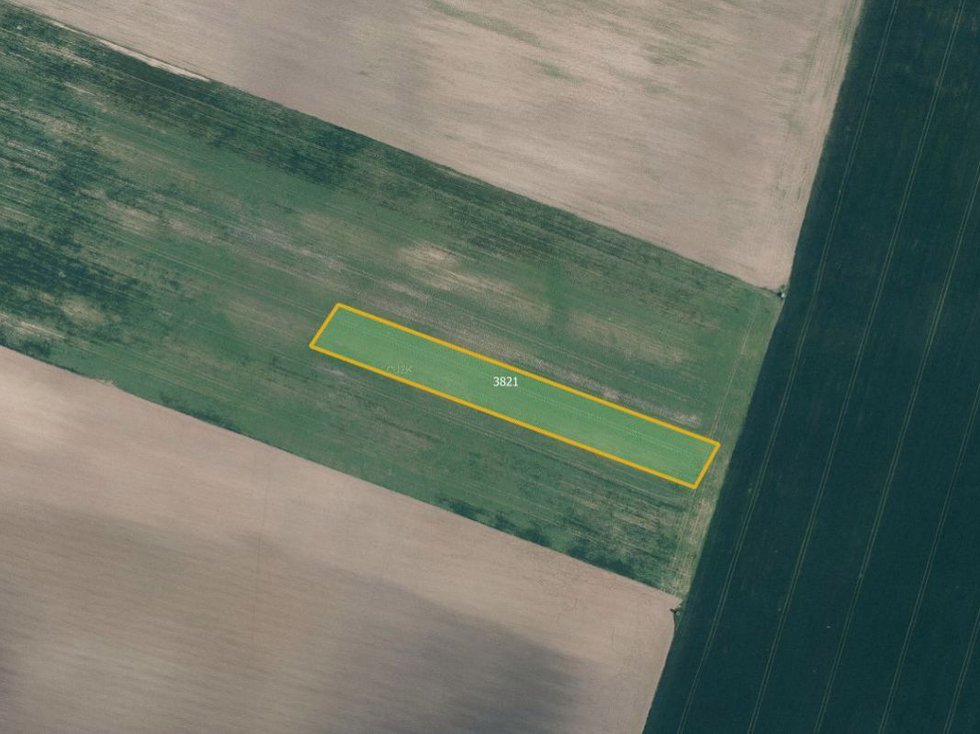 Prodej zemědělské půdy 6586 m², Ledčice