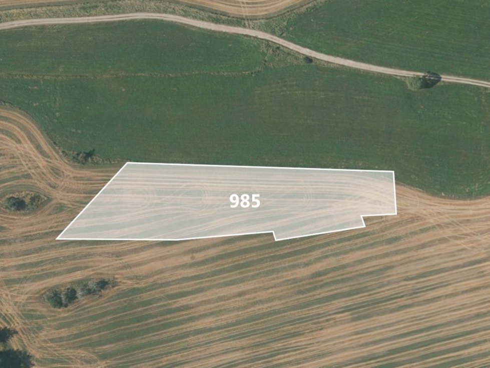 Prodej zemědělské půdy 9770 m², Drhovle