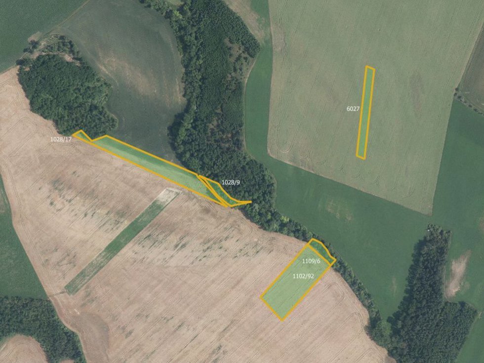 Prodej zemědělské půdy 6896 m², Džbánice