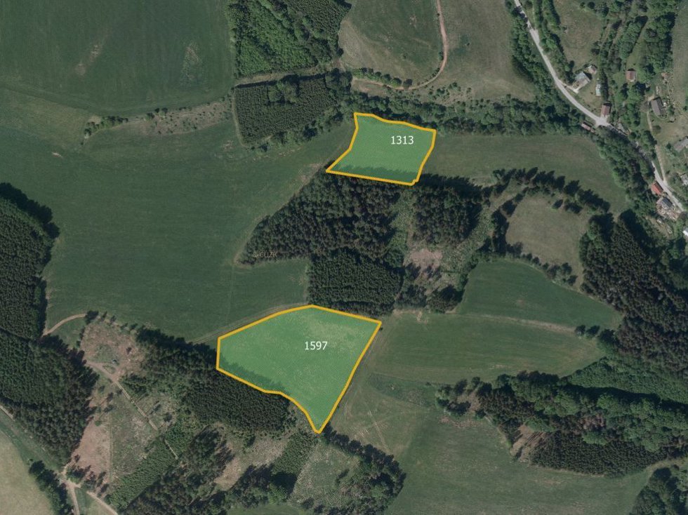 Prodej louky 28075 m², Vidochov