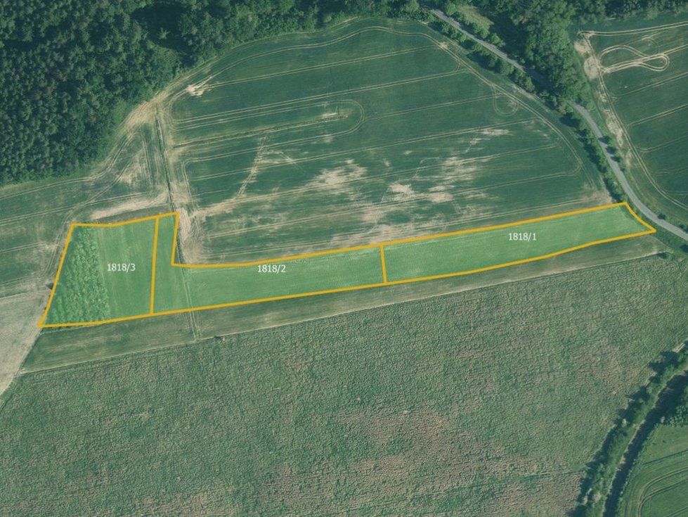 Prodej zemědělské půdy 19046 m², Radnice