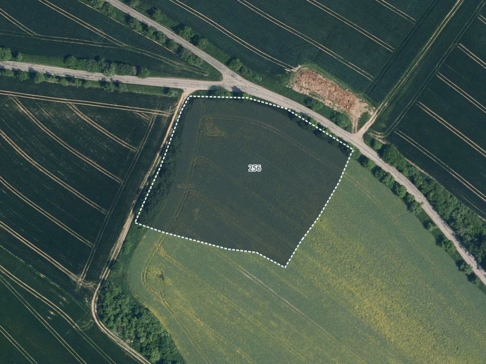 Prodej zemědělské půdy 15615 m², Mohelnice nad Jizerou