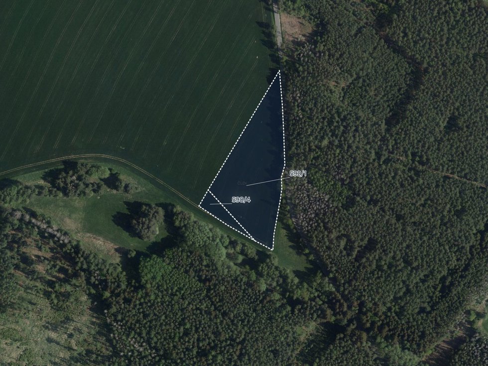 Prodej zemědělské půdy 6160 m², Mysletice