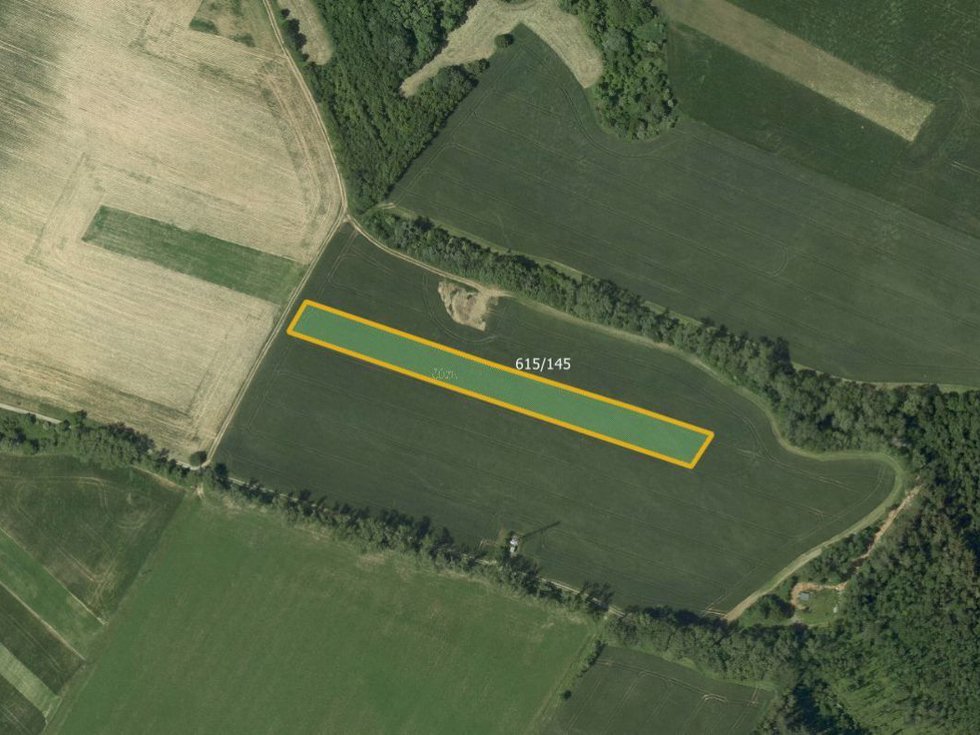 Prodej zemědělské půdy 6000 m², Světlá