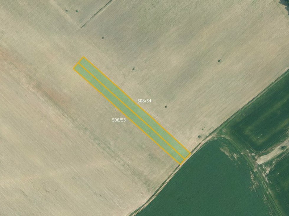 Prodej zemědělské půdy 5978 m², Olešník