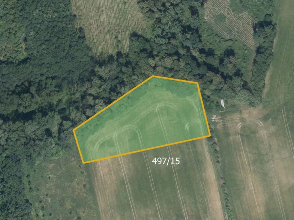 Prodej zemědělské půdy 9532 m², Hlinsko