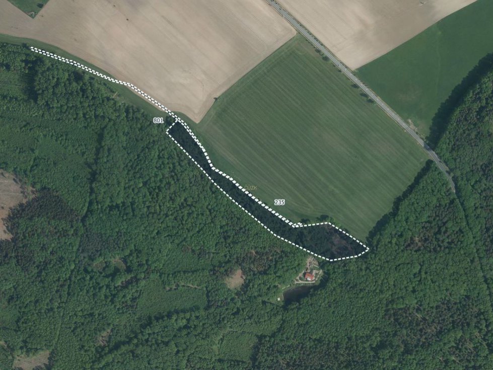 Prodej lesa 14611 m², Radhošť