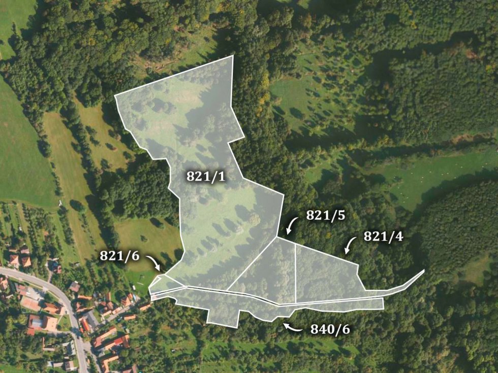 Prodej louky 1322 m², Petrůvka