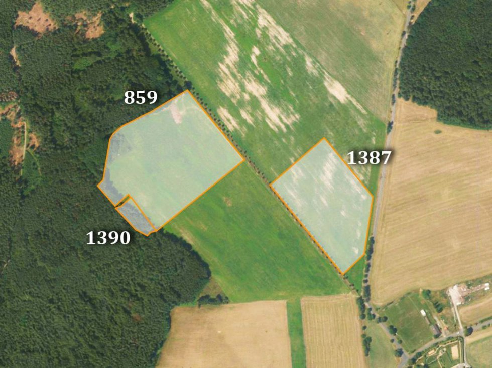Prodej zemědělské půdy 28494 m², Bynovec