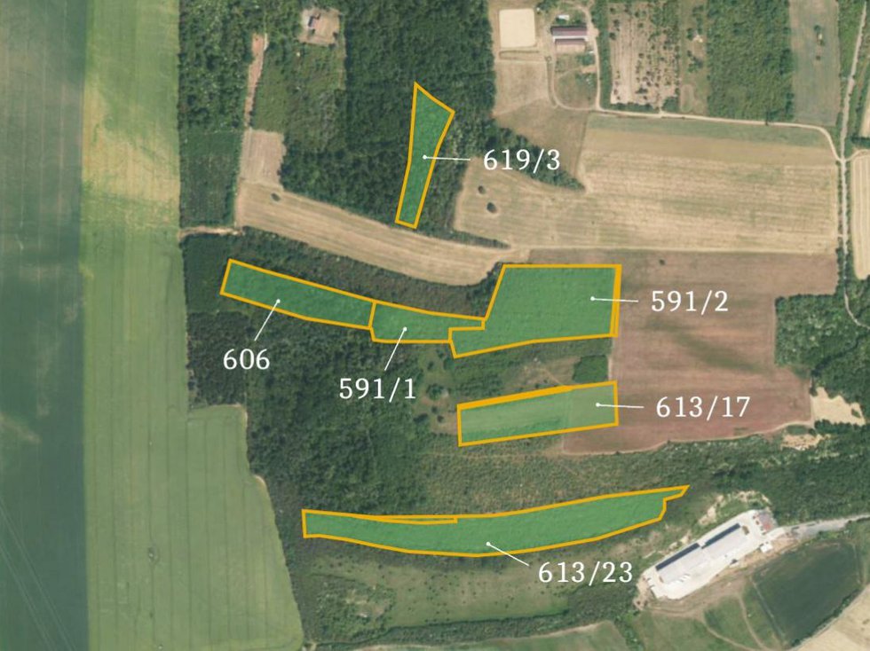 Prodej zemědělské půdy 28854 m², Dřínov