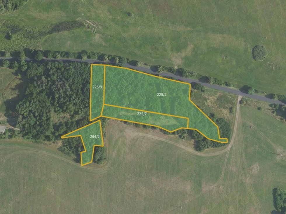 Prodej lesa 14688 m², Drahlín